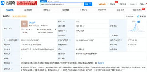 跨界布局与新需求探索 新东方多地成立教育咨询公司的战略解读